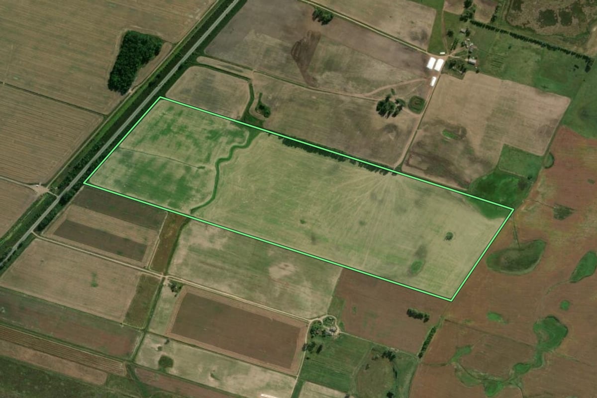 Imagem de satélite do imóvel rural em Rio Grande (RS), com o contorno declarado no CAR desenhado por cima.