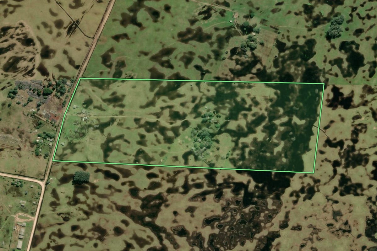 Imagem de satélite do imóvel rural em Rio Grande (RS), com o contorno declarado no CAR desenhado por cima.