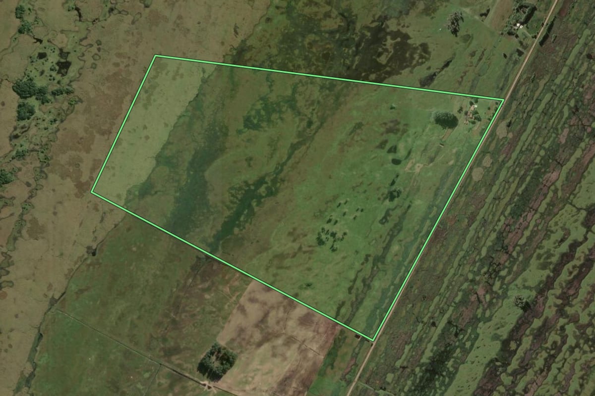 Imagem de satélite do imóvel rural em Rio Grande (RS), com o contorno declarado no CAR desenhado por cima.