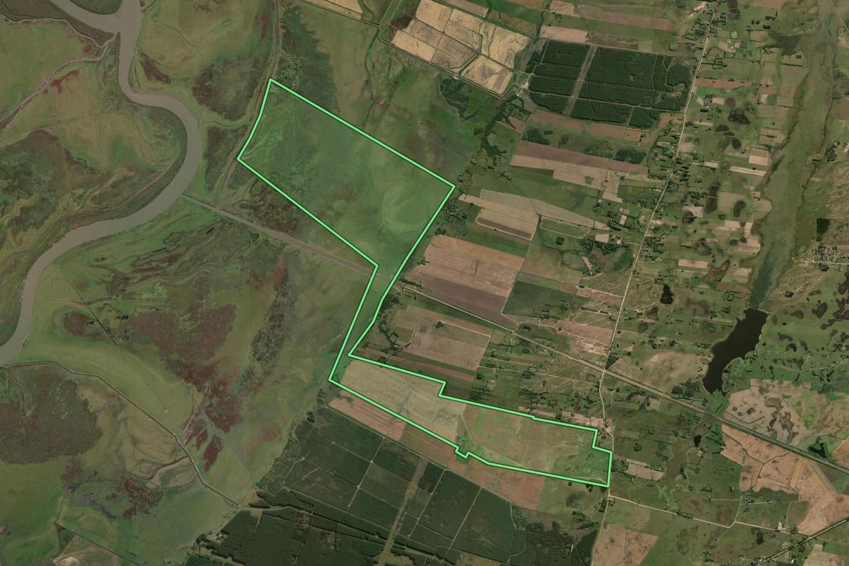 Imagem de satélite do imóvel rural em Rio Grande (RS), com o contorno declarado no CAR desenhado por cima.
