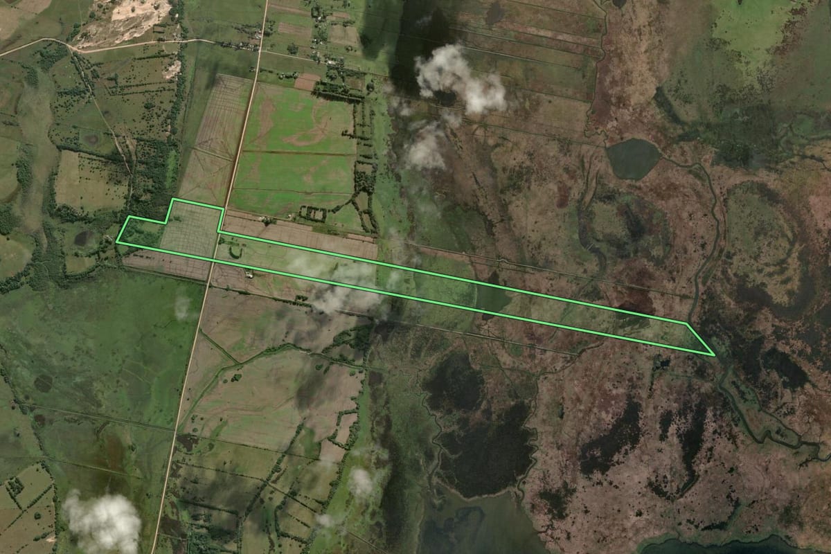 Imagem de satélite do imóvel rural em Rio Grande (RS), com o contorno declarado no CAR desenhado por cima.