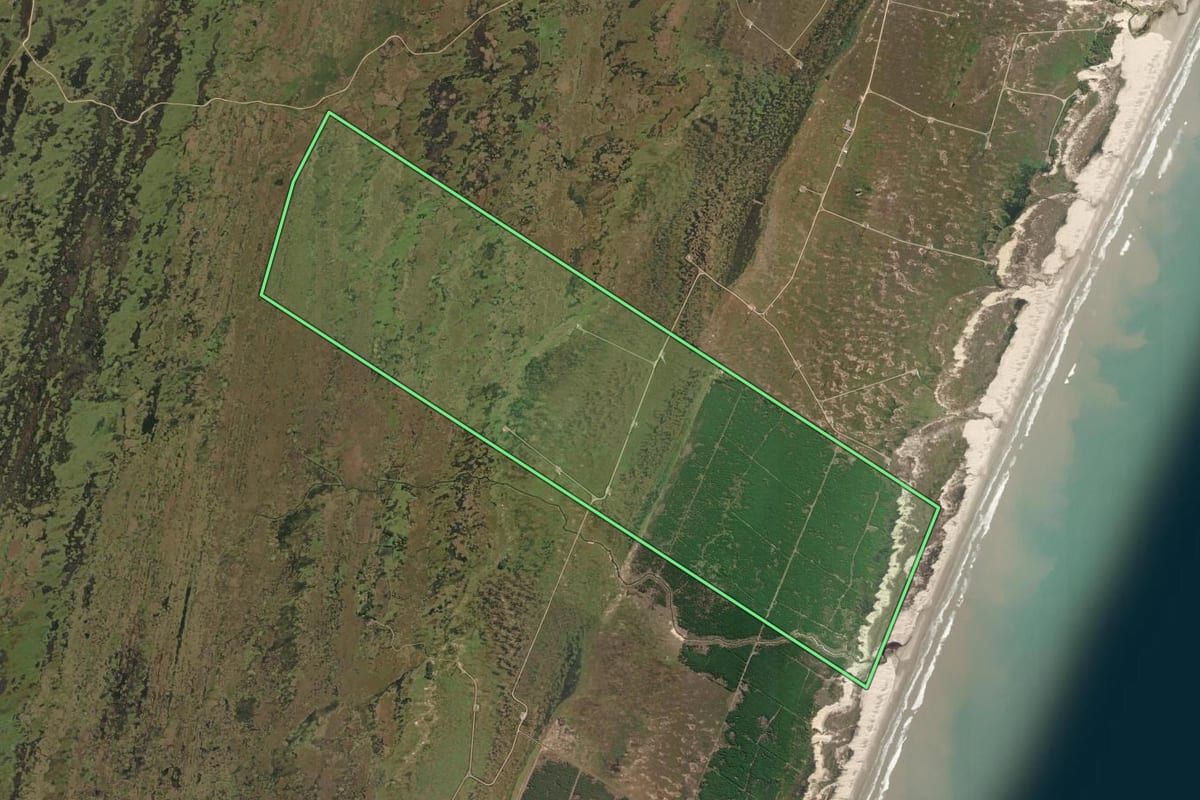 Imagem de satélite do imóvel rural em Rio Grande (RS), com o contorno declarado no CAR desenhado por cima.