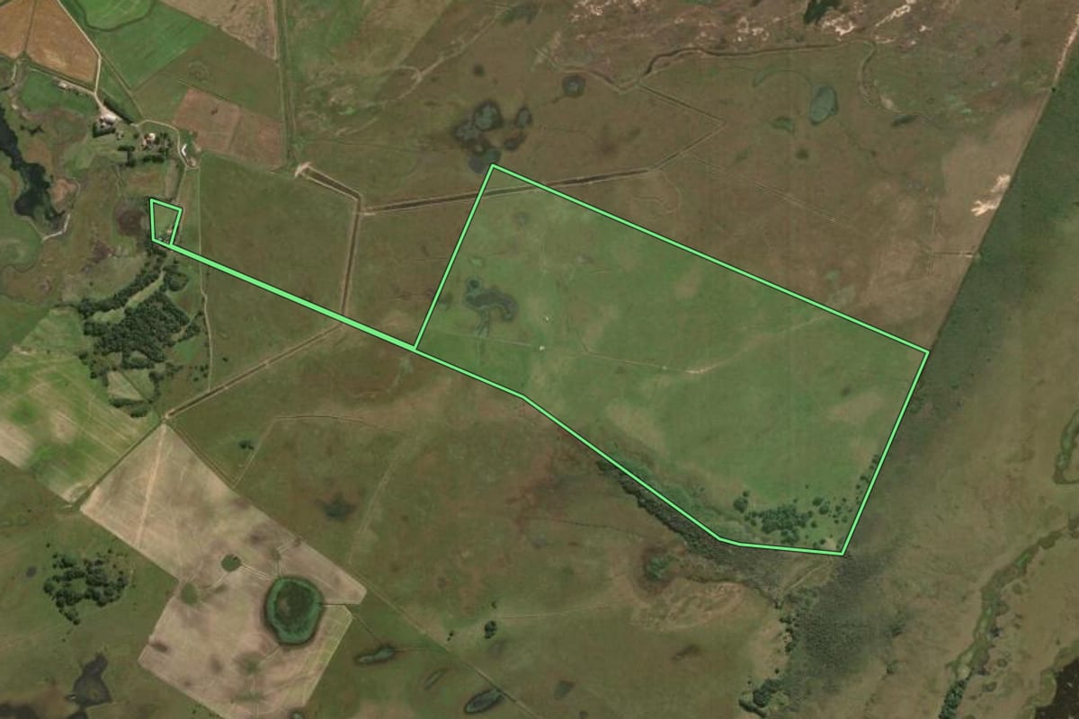 Imagem de satélite do imóvel rural em Rio Grande (RS), com o contorno declarado no CAR desenhado por cima.