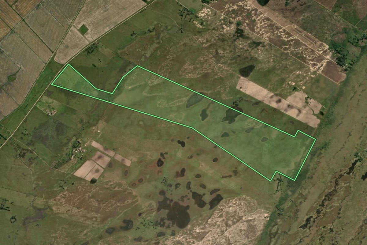 Imagem de satélite do imóvel rural em Rio Grande (RS), com o contorno declarado no CAR desenhado por cima.