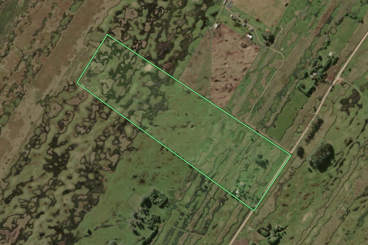Imagem de satélite do imóvel rural em Rio Grande (RS), com o contorno declarado no CAR desenhado por cima.