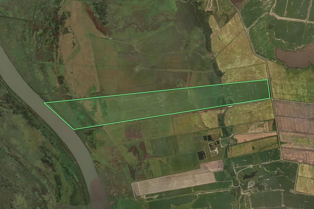 Imagem de satélite do imóvel rural em Rio Grande (RS), com o contorno declarado no CAR desenhado por cima.