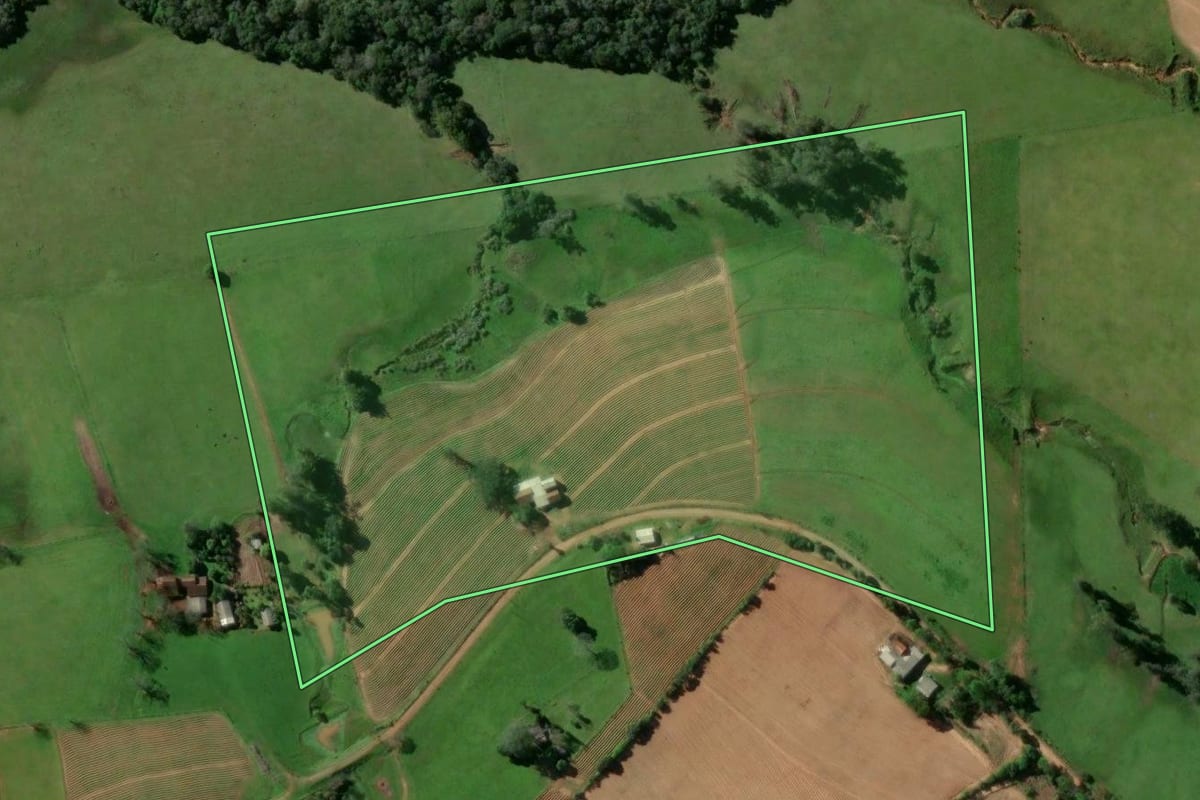 Imagem de satélite do imóvel rural em Rio Pardo (RS), com o contorno declarado no CAR desenhado por cima.