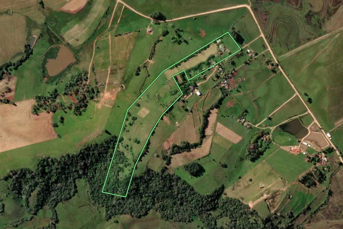 Imagem de satélite do imóvel rural em Rio Pardo (RS), com o contorno declarado no CAR desenhado por cima.