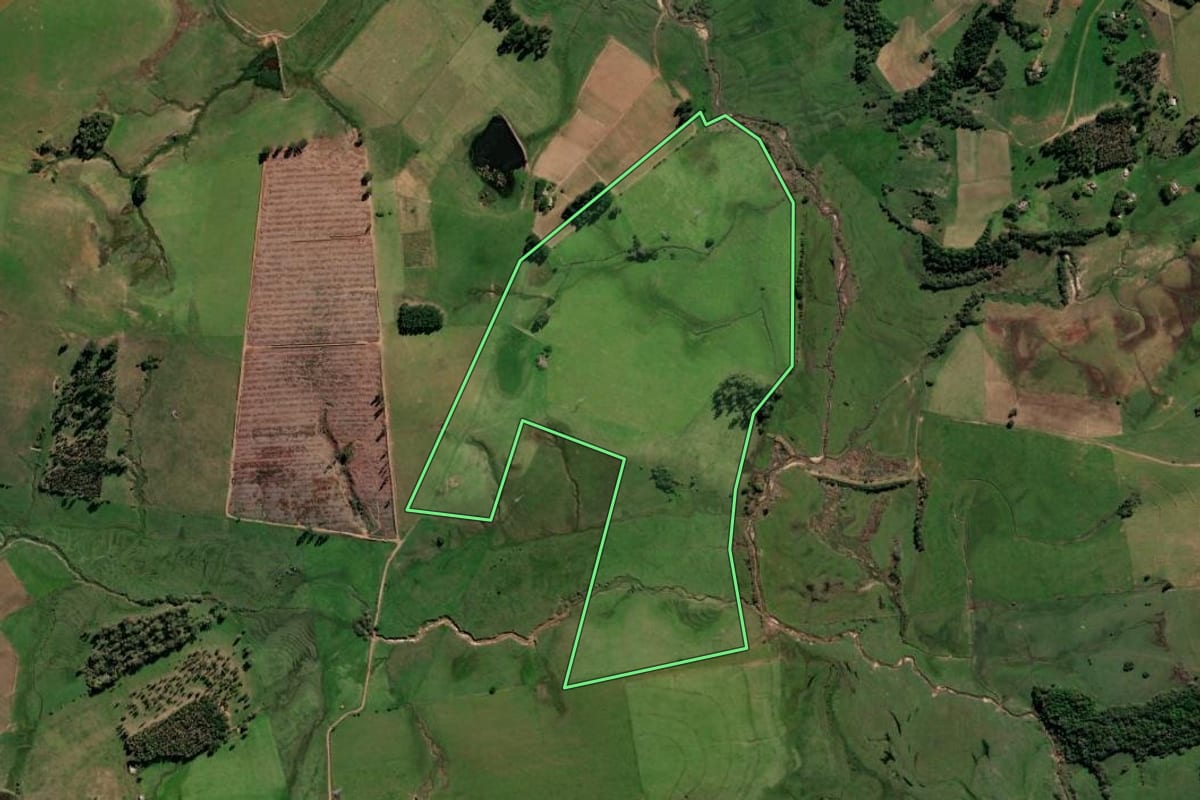 Imagem de satélite do imóvel rural em Rio Pardo (RS), com o contorno declarado no CAR desenhado por cima.