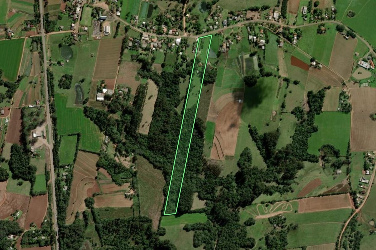 Imagem de satélite do imóvel rural em Rio Pardo (RS), com o contorno declarado no CAR desenhado por cima.