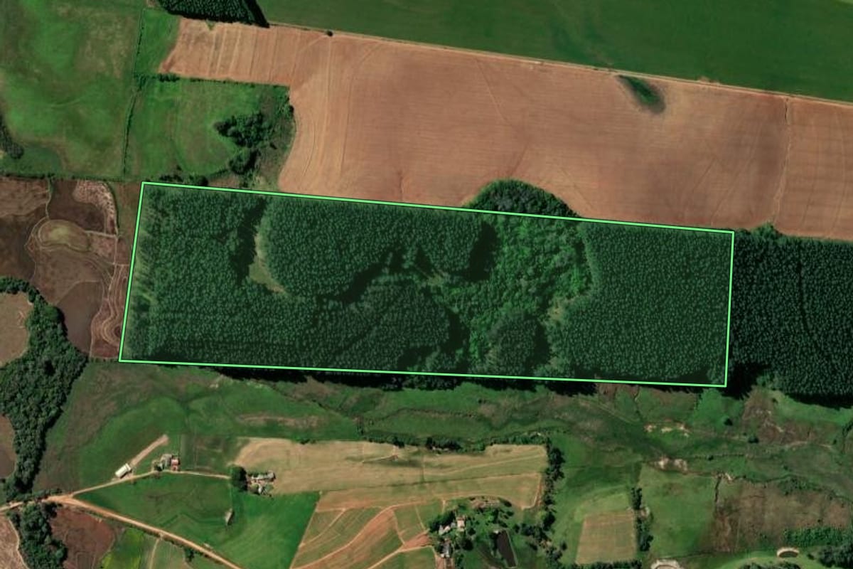 Imagem de satélite do imóvel rural em Rio Pardo (RS), com o contorno declarado no CAR desenhado por cima.
