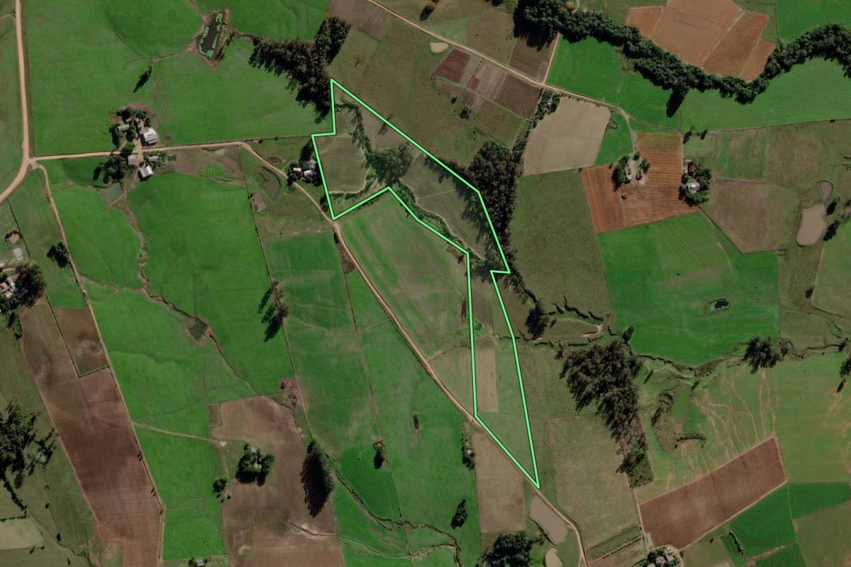 Imagem de satélite do imóvel rural em Rio Pardo (RS), com o contorno declarado no CAR desenhado por cima.