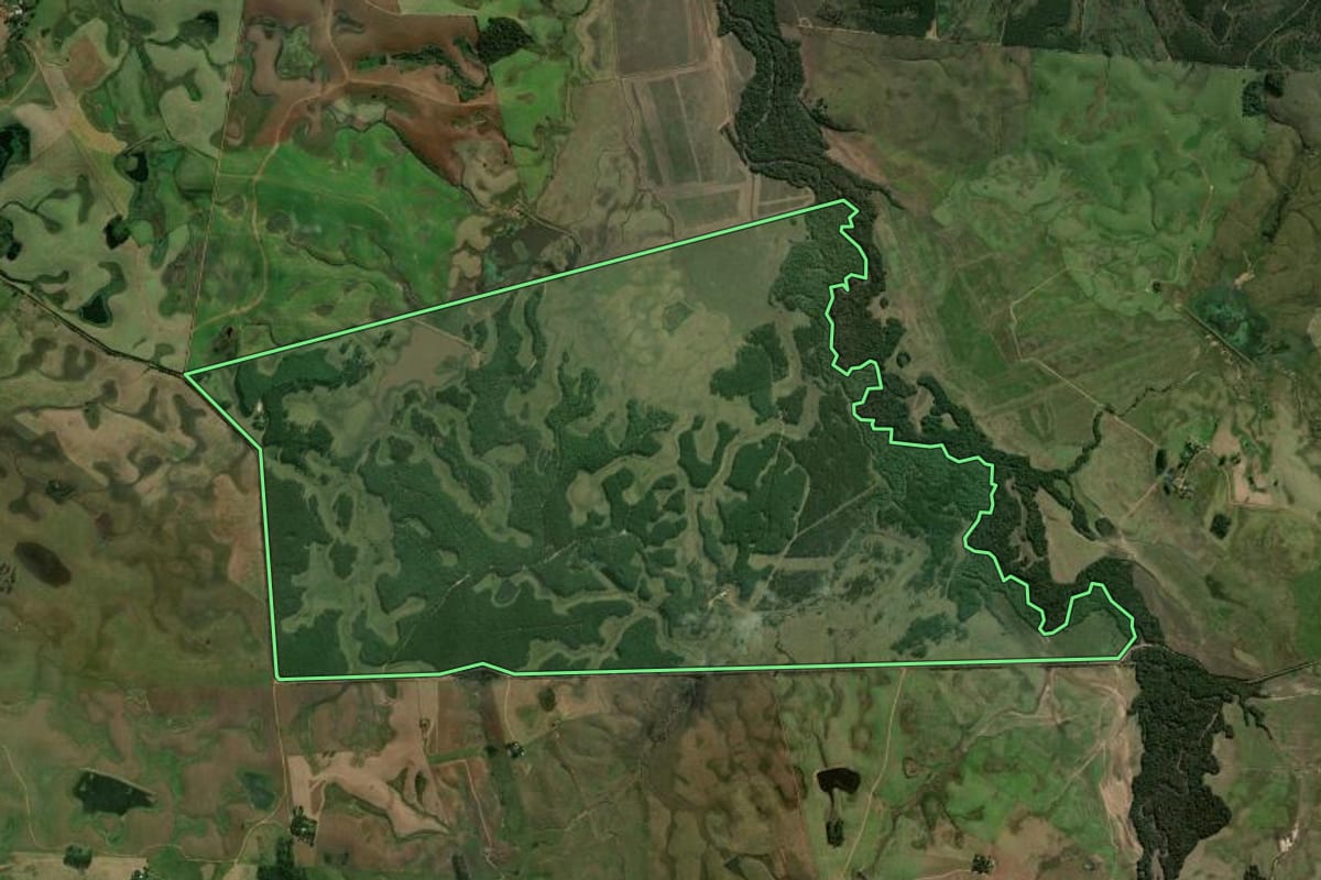 Imagem de satélite do imóvel rural em Rio Pardo (RS), com o contorno declarado no CAR desenhado por cima.