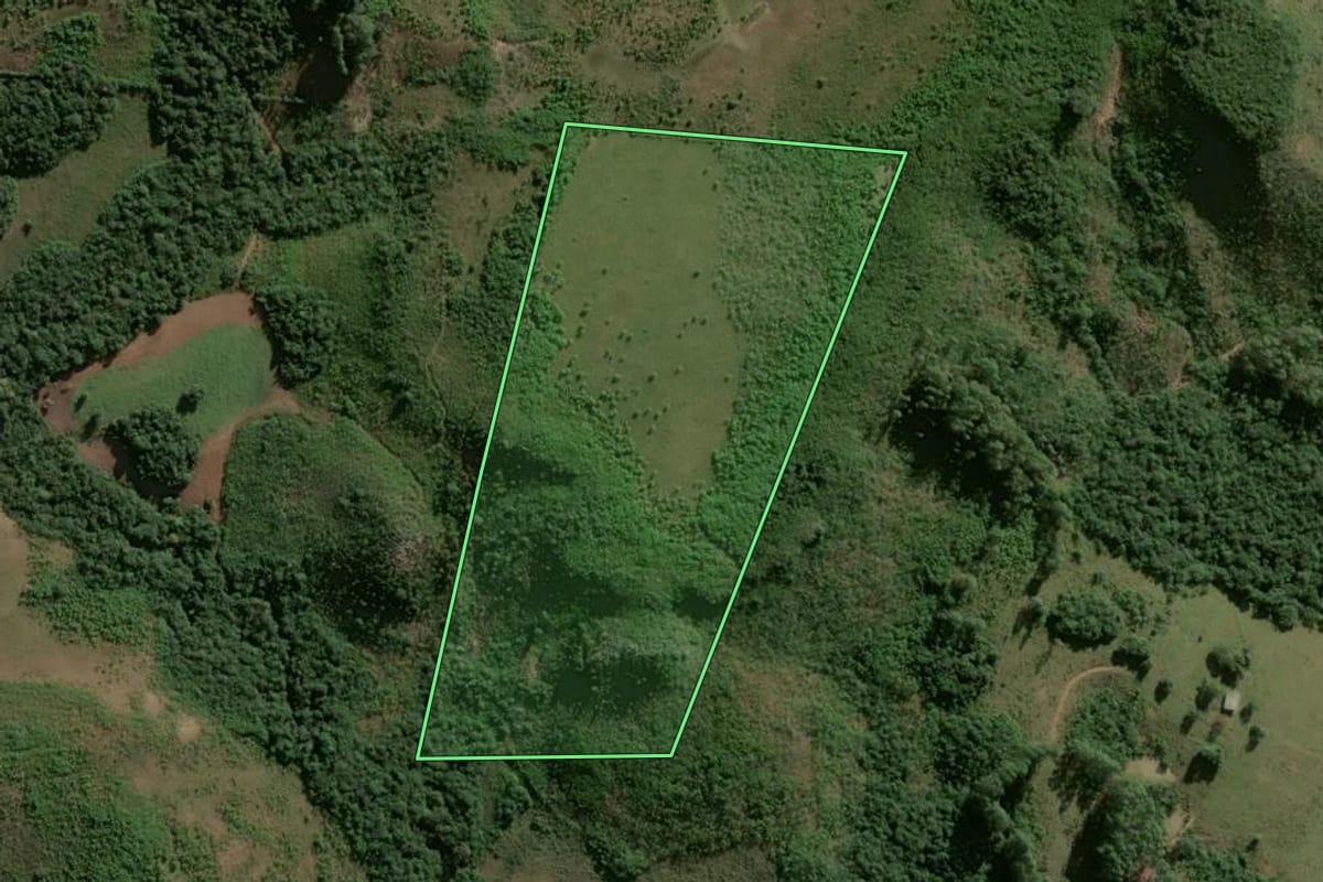 Imagem de satélite do imóvel rural em Rio Pardo (RS), com o contorno declarado no CAR desenhado por cima.