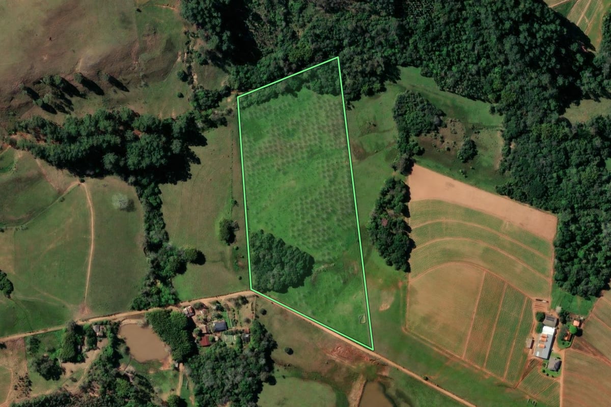 Imagem de satélite do imóvel rural em Rio Pardo (RS), com o contorno declarado no CAR desenhado por cima.