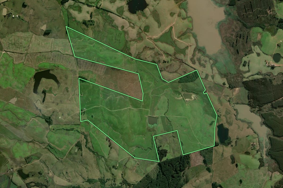 Imagem de satélite do imóvel rural em Rio Pardo (RS), com o contorno declarado no CAR desenhado por cima.