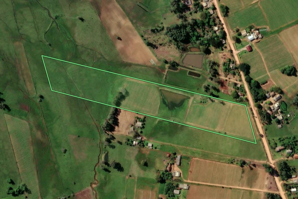Imagem de satélite do imóvel rural em Rio Pardo (RS), com o contorno declarado no CAR desenhado por cima.