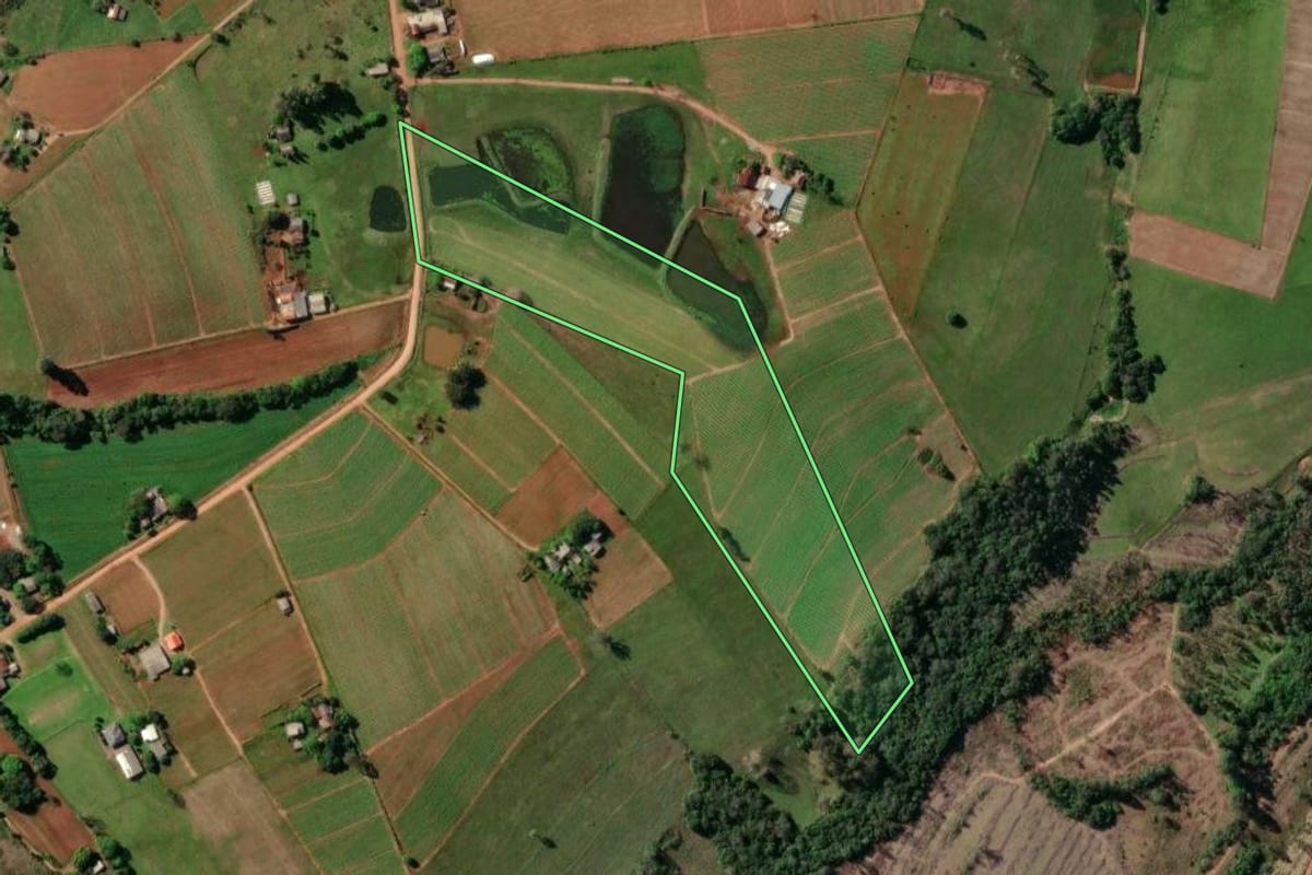 Imagem de satélite do imóvel rural em Rio Pardo (RS), com o contorno declarado no CAR desenhado por cima.