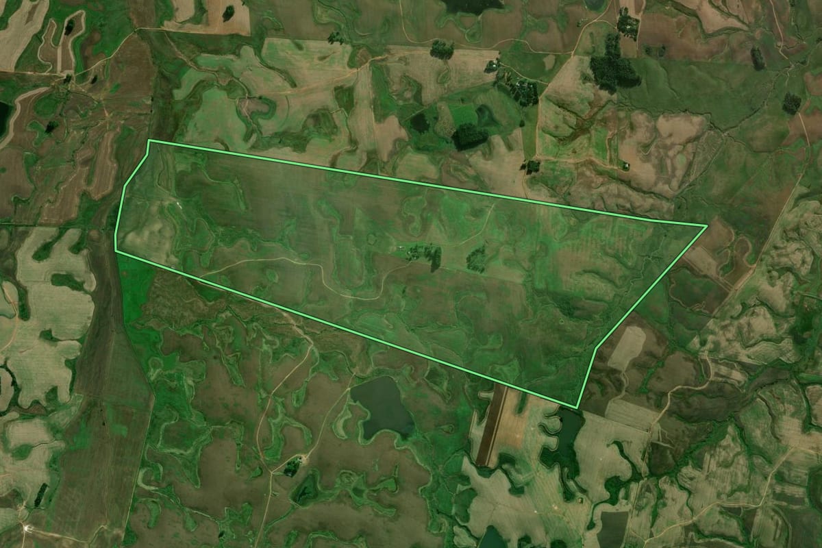 Imagem de satélite do imóvel rural em Rio Pardo (RS), com o contorno declarado no CAR desenhado por cima.