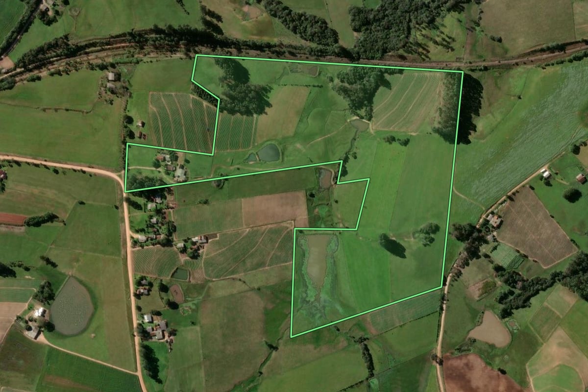 Imagem de satélite do imóvel rural em Rio Pardo (RS), com o contorno declarado no CAR desenhado por cima.