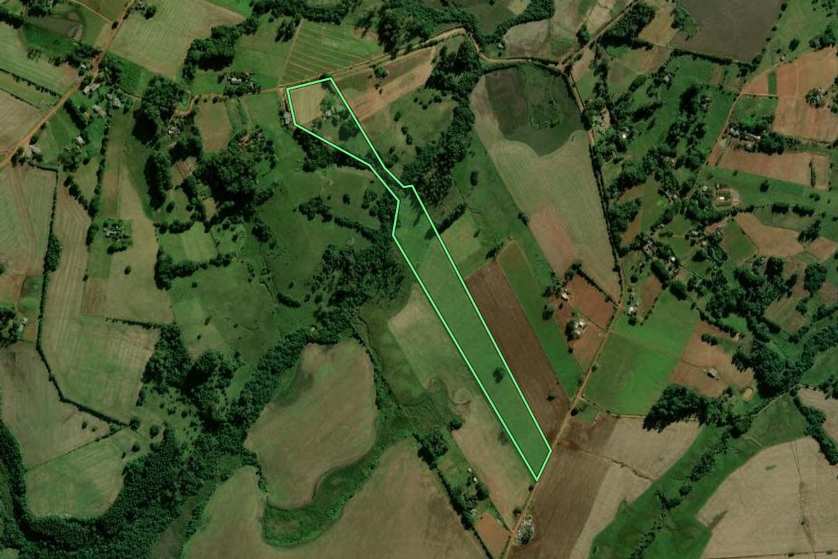Imagem de satélite do imóvel rural em Rio Pardo (RS), com o contorno declarado no CAR desenhado por cima.