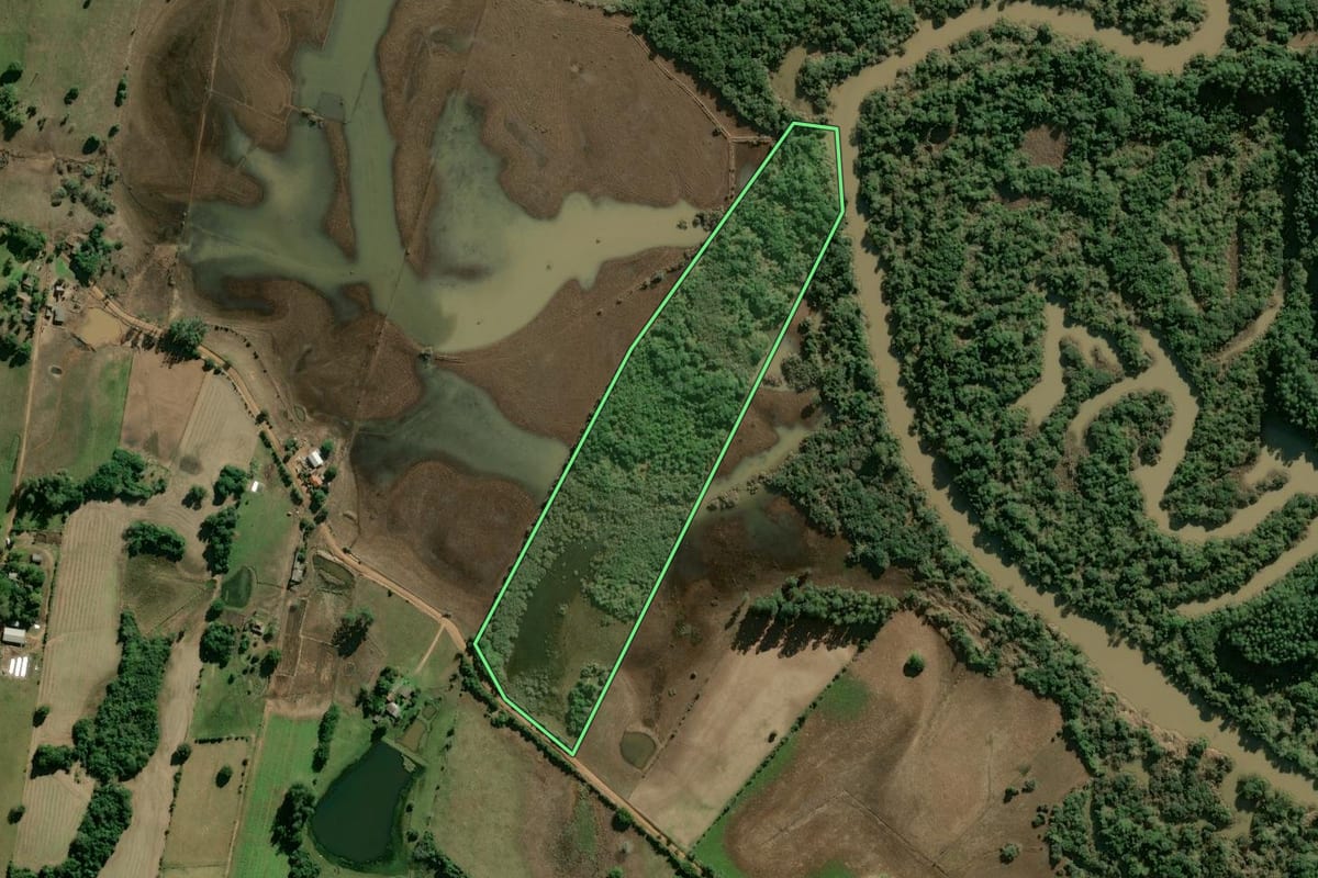 Imagem de satélite do imóvel rural em Rio Pardo (RS), com o contorno declarado no CAR desenhado por cima.