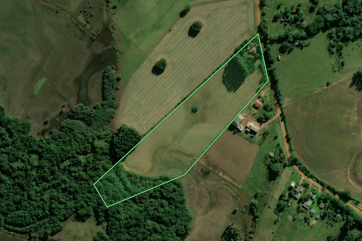 Imagem de satélite do imóvel rural em Rio Pardo (RS), com o contorno declarado no CAR desenhado por cima.
