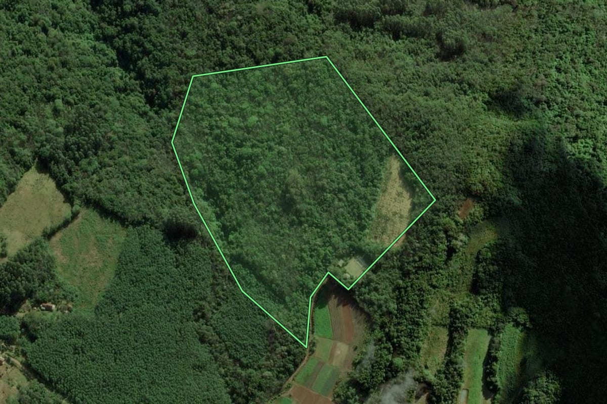 Imagem de satélite do imóvel rural em Riozinho (RS), com o contorno declarado no CAR desenhado por cima.