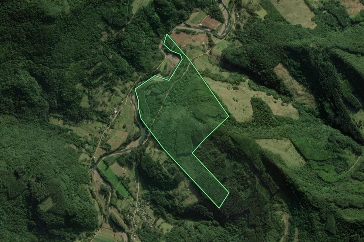 Imagem de satélite do imóvel rural em Riozinho (RS), com o contorno declarado no CAR desenhado por cima.