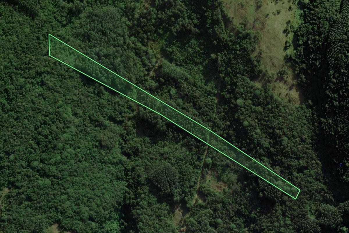 Imagem de satélite do imóvel rural em Riozinho (RS), com o contorno declarado no CAR desenhado por cima.