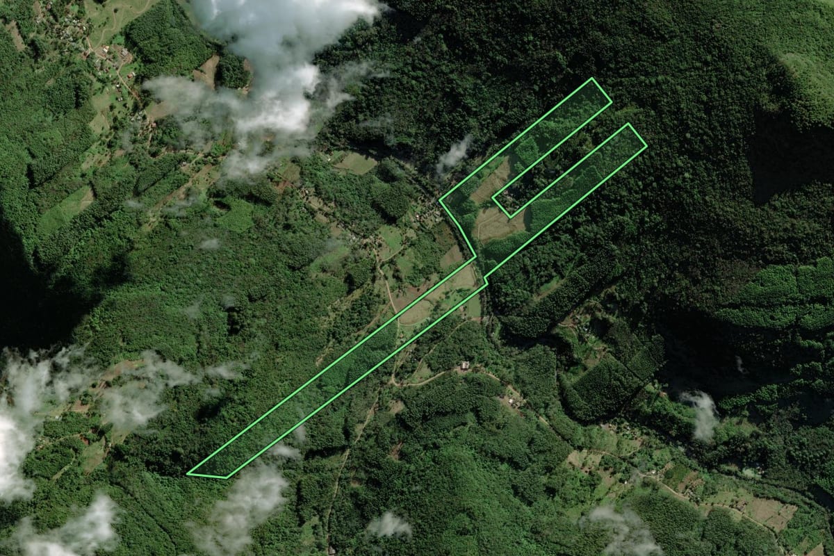 Imagem de satélite do imóvel rural em Riozinho (RS), com o contorno declarado no CAR desenhado por cima.
