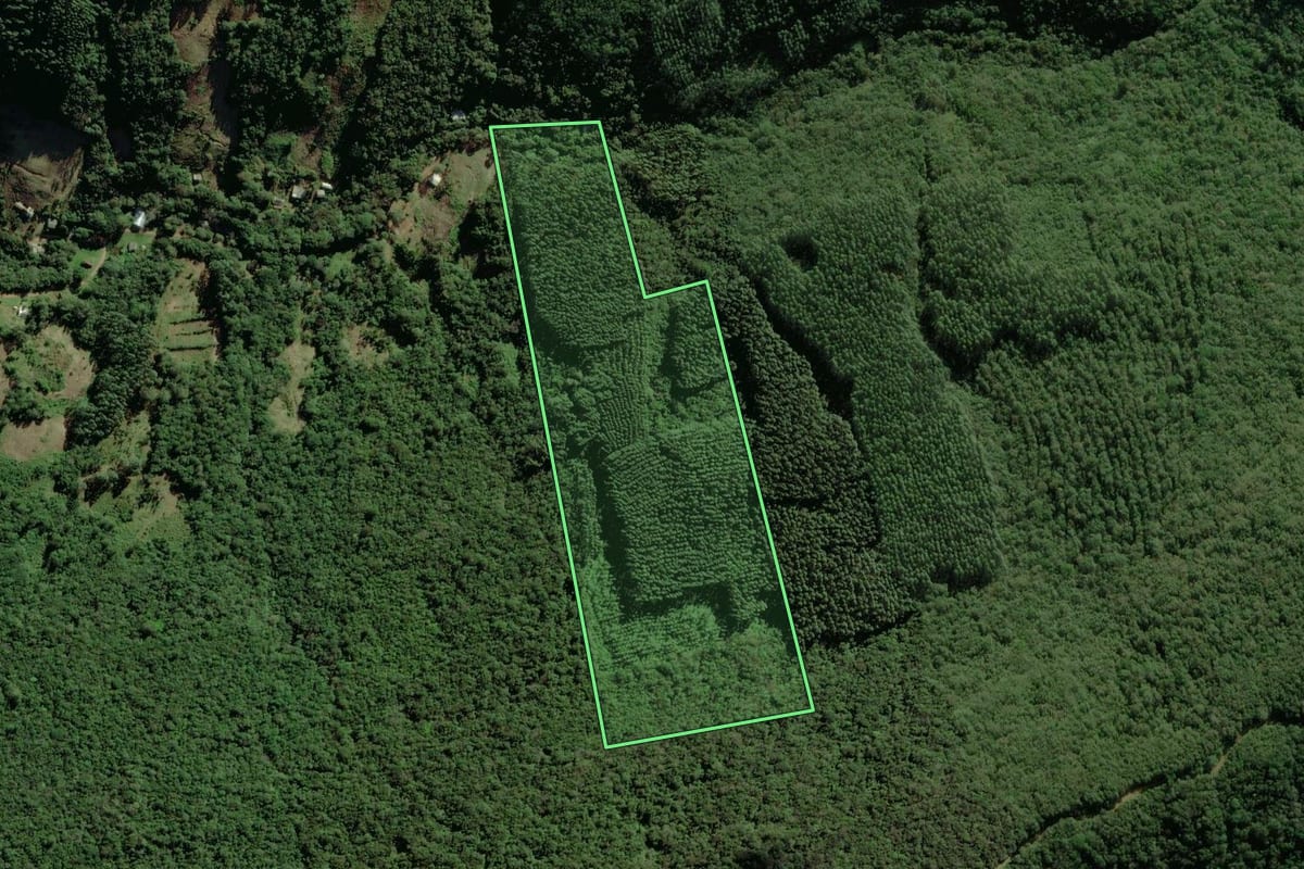 Imagem de satélite do imóvel rural em Riozinho (RS), com o contorno declarado no CAR desenhado por cima.