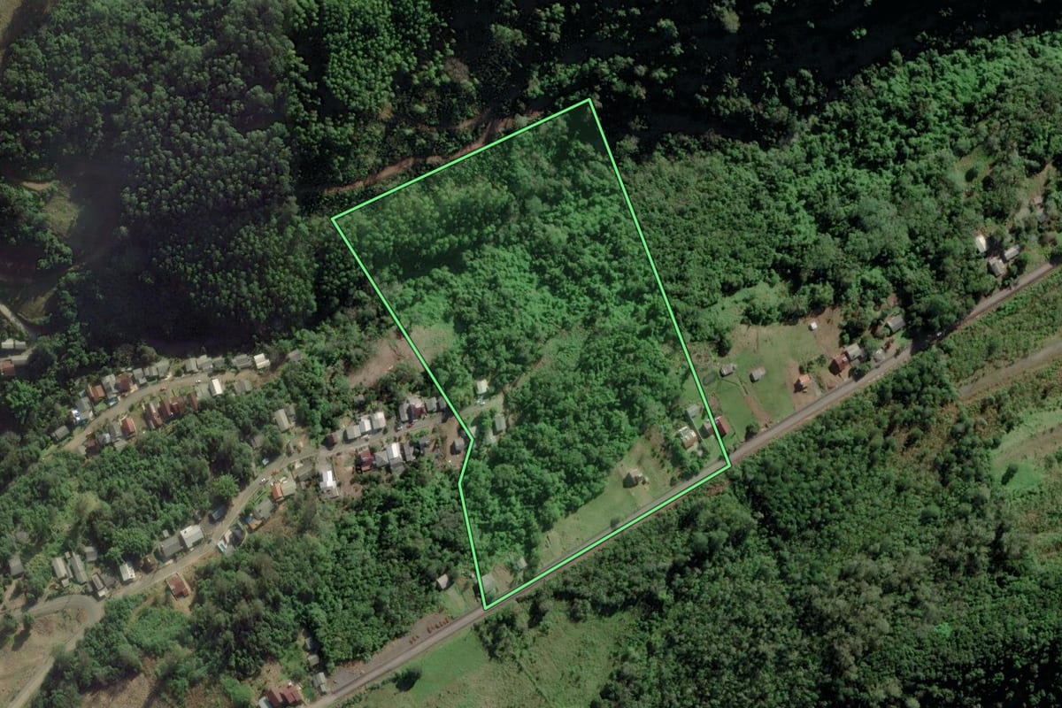 Imagem de satélite do imóvel rural em Riozinho (RS), com o contorno declarado no CAR desenhado por cima.