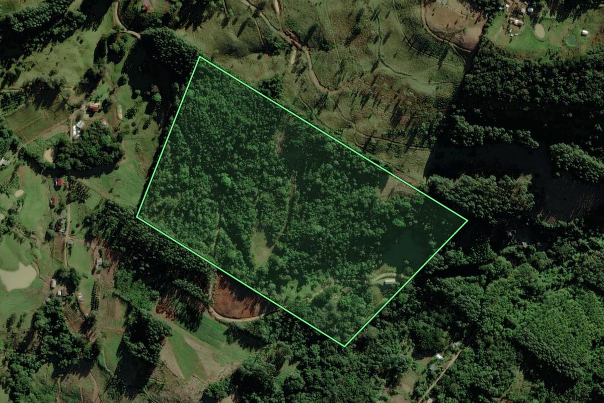 Imagem de satélite do imóvel rural em Riozinho (RS), com o contorno declarado no CAR desenhado por cima.