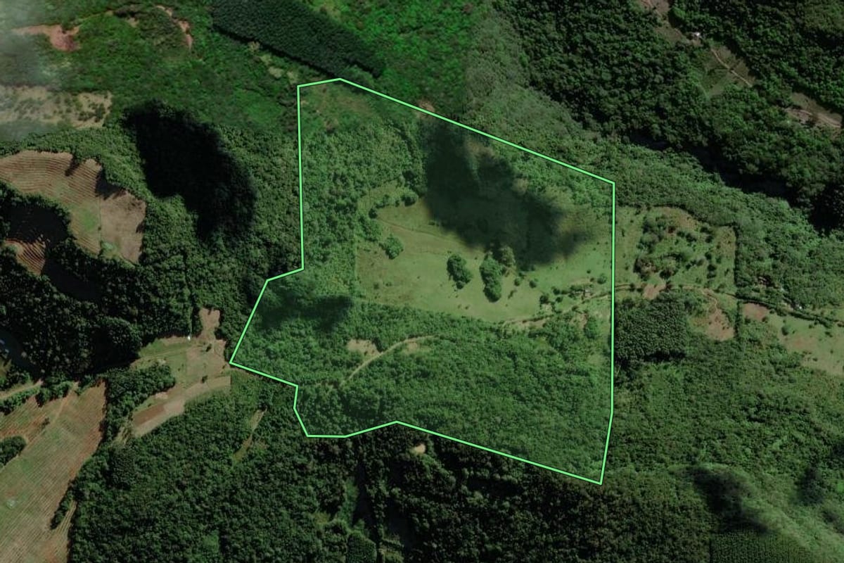 Imagem de satélite do imóvel rural em Riozinho (RS), com o contorno declarado no CAR desenhado por cima.