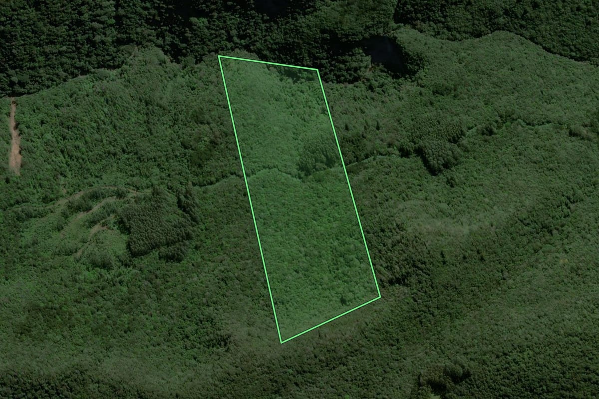 Imagem de satélite do imóvel rural em Riozinho (RS), com o contorno declarado no CAR desenhado por cima.