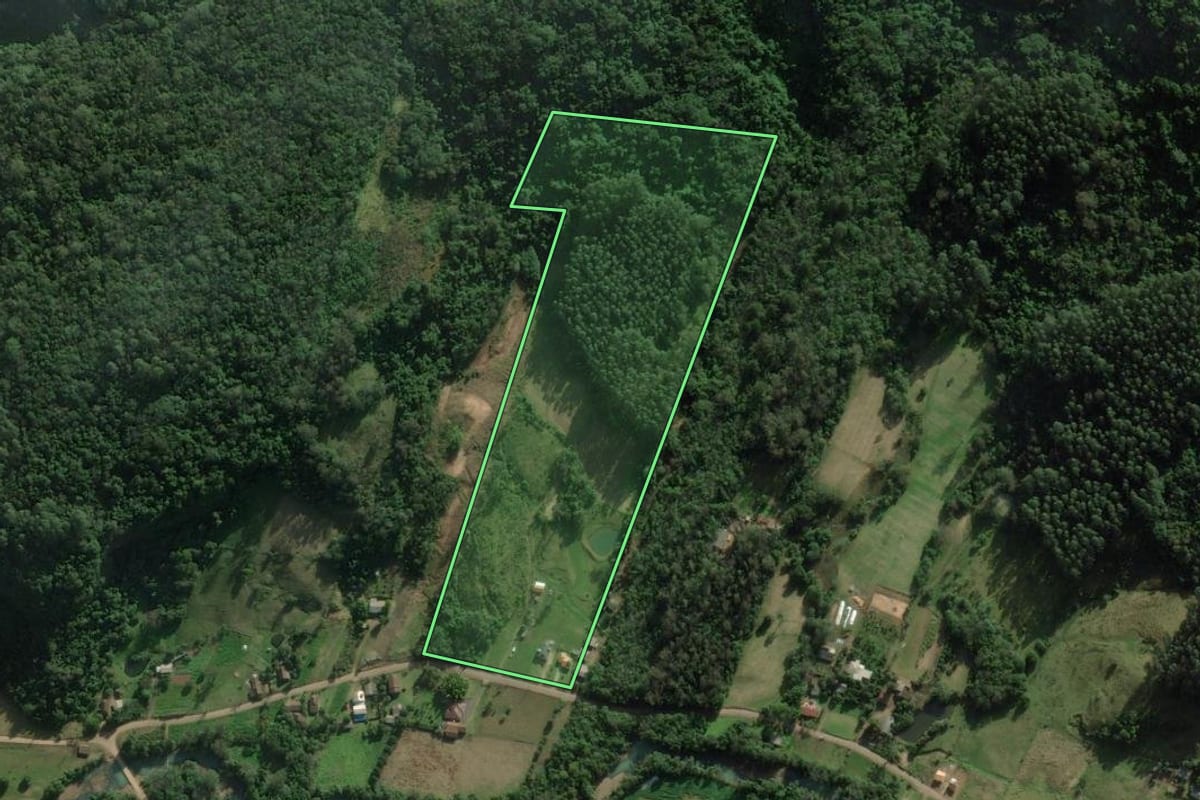 Imagem de satélite do imóvel rural em Riozinho (RS), com o contorno declarado no CAR desenhado por cima.