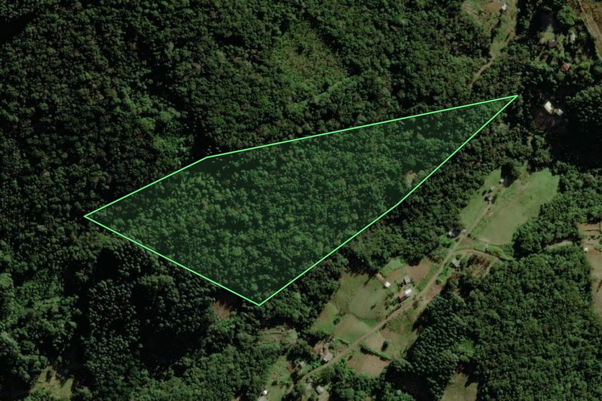 Imagem de satélite do imóvel rural em Riozinho (RS), com o contorno declarado no CAR desenhado por cima.
