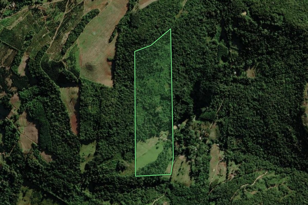 Imagem de satélite do imóvel rural em Riozinho (RS), com o contorno declarado no CAR desenhado por cima.
