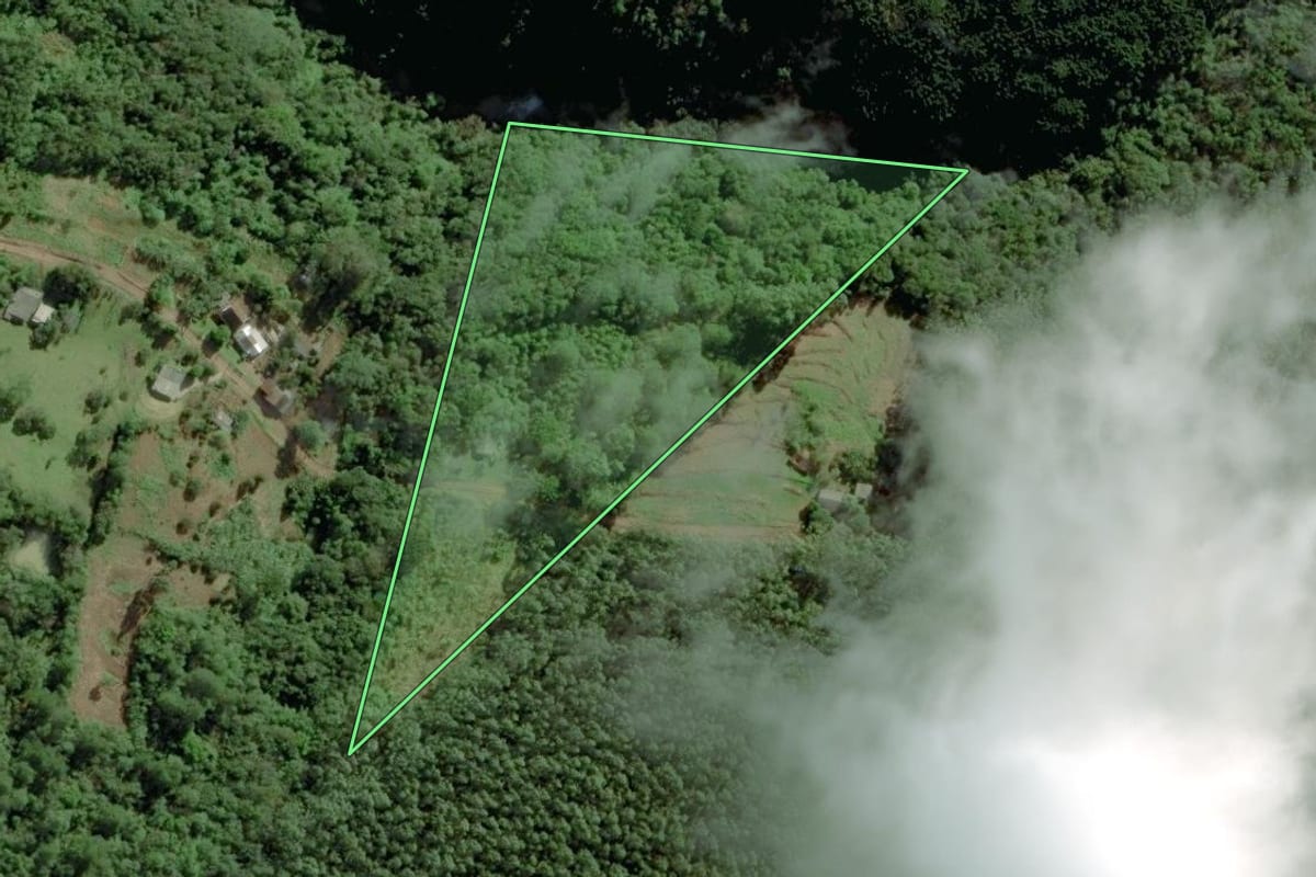 Imagem de satélite do imóvel rural em Riozinho (RS), com o contorno declarado no CAR desenhado por cima.