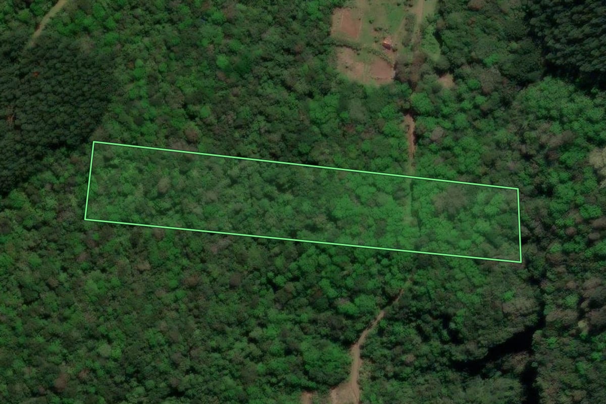 Imagem de satélite do imóvel rural em Riozinho (RS), com o contorno declarado no CAR desenhado por cima.