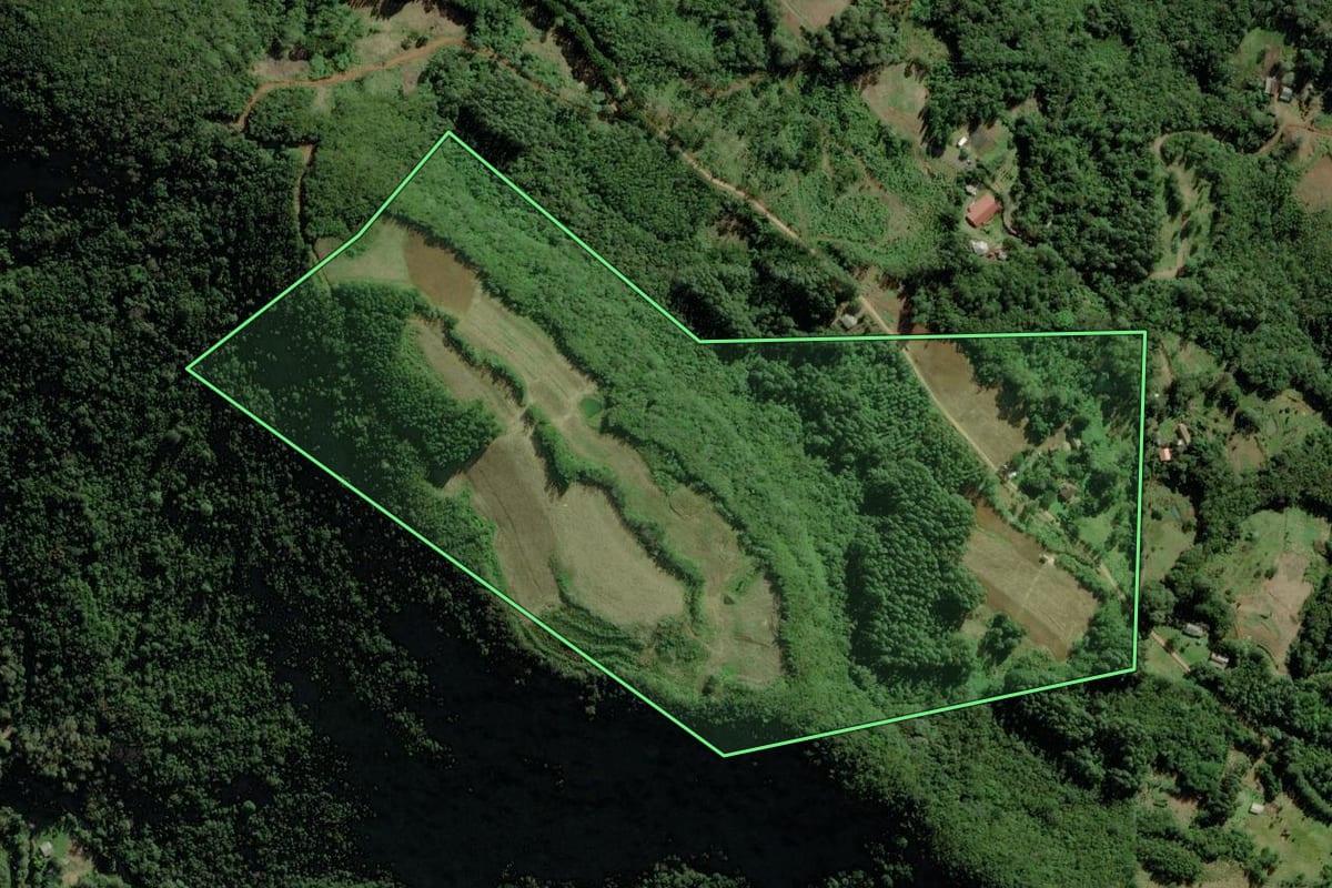 Imagem de satélite do imóvel rural em Riozinho (RS), com o contorno declarado no CAR desenhado por cima.