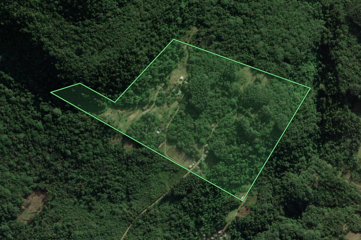 Imagem de satélite do imóvel rural em Riozinho (RS), com o contorno declarado no CAR desenhado por cima.