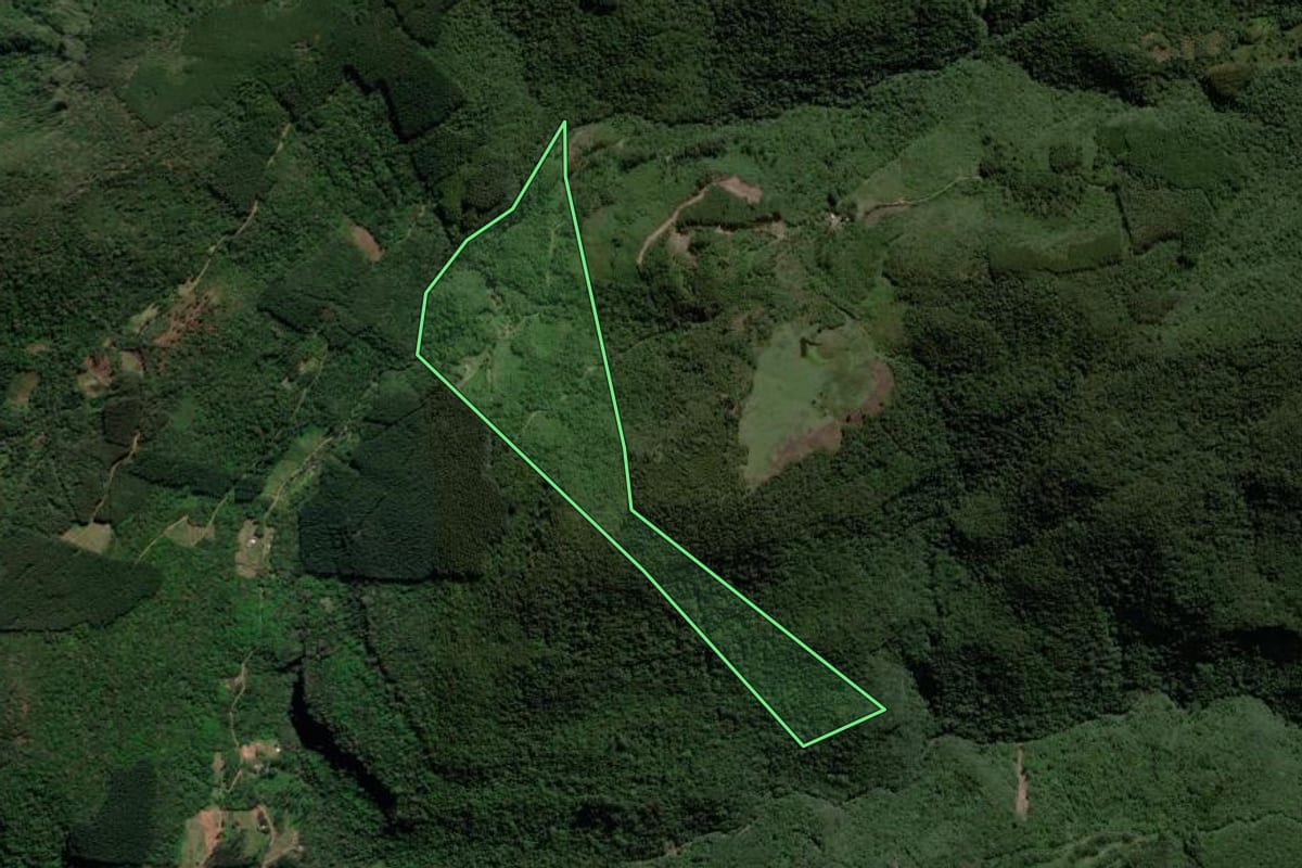 Imagem de satélite do imóvel rural em Riozinho (RS), com o contorno declarado no CAR desenhado por cima.