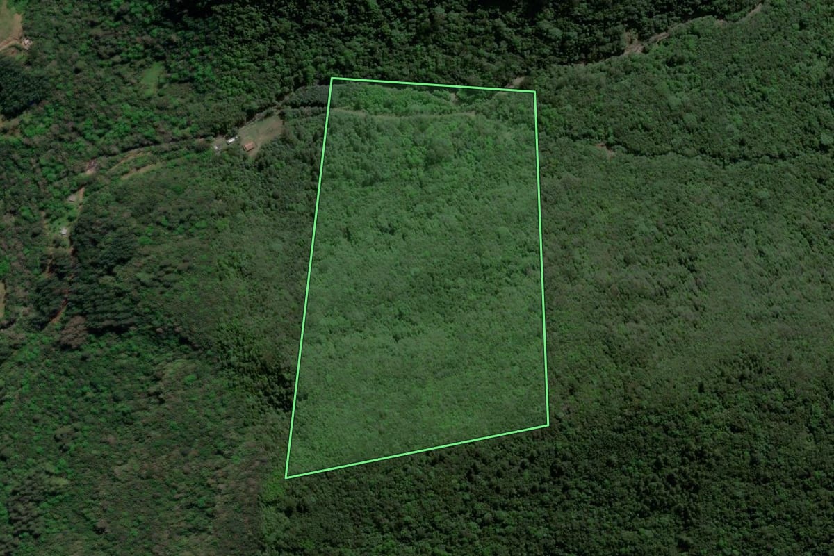 Imagem de satélite do imóvel rural em Riozinho (RS), com o contorno declarado no CAR desenhado por cima.