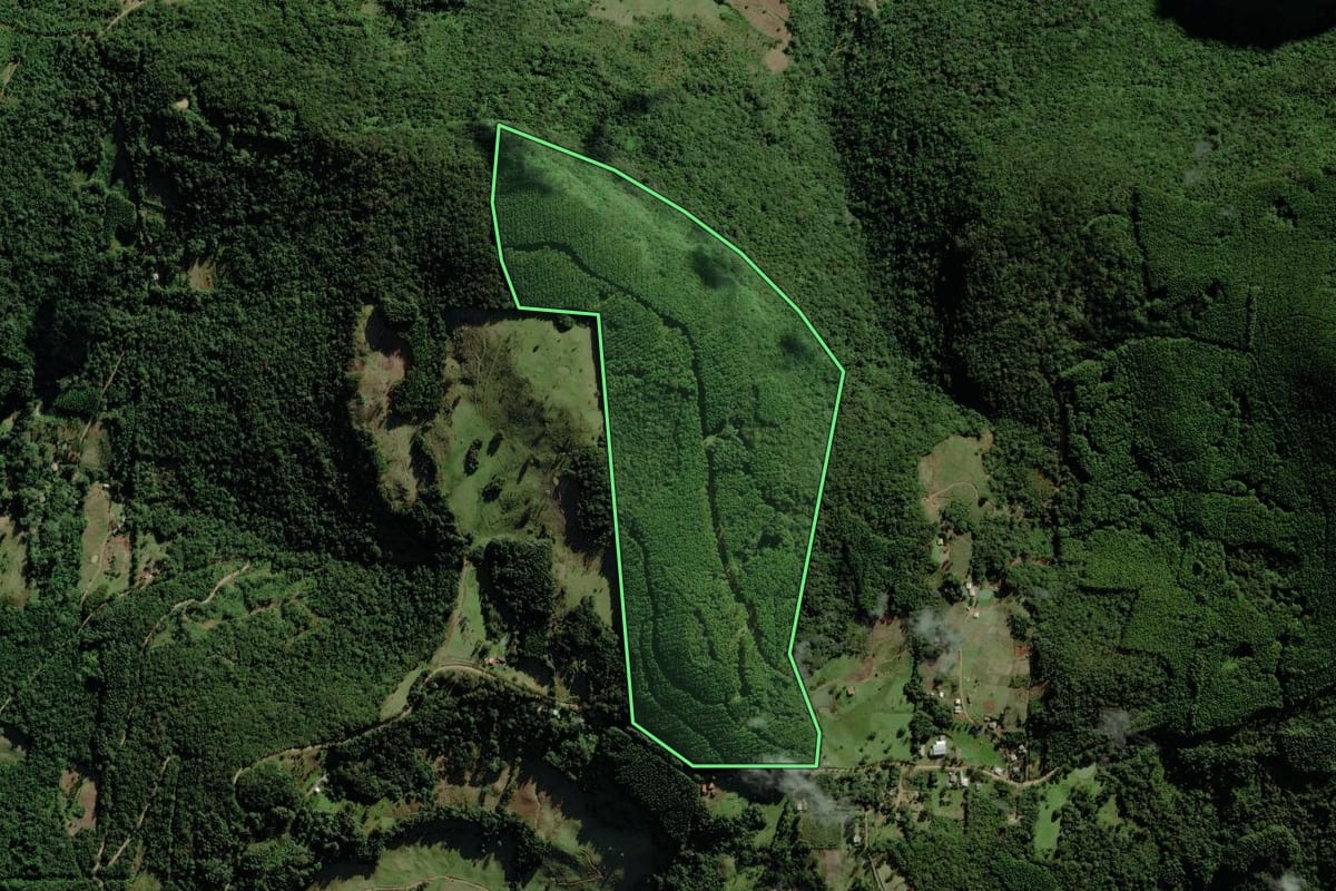 Imagem de satélite do imóvel rural em Riozinho (RS), com o contorno declarado no CAR desenhado por cima.