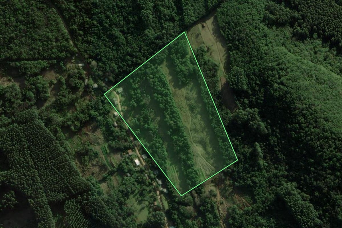 Imagem de satélite do imóvel rural em Riozinho (RS), com o contorno declarado no CAR desenhado por cima.