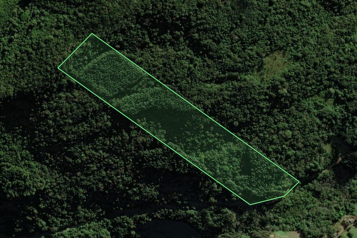 Imagem de satélite do imóvel rural em Riozinho (RS), com o contorno declarado no CAR desenhado por cima.