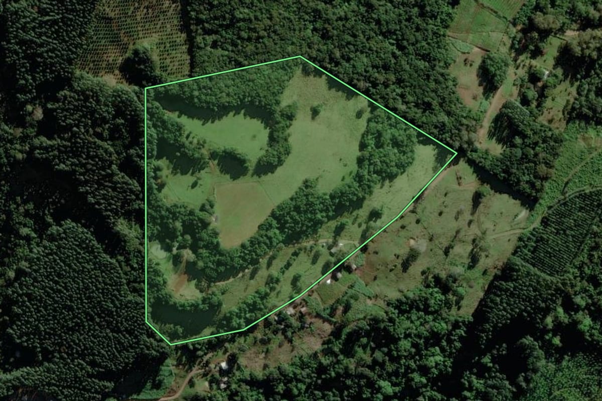 Imagem de satélite do imóvel rural em Riozinho (RS), com o contorno declarado no CAR desenhado por cima.