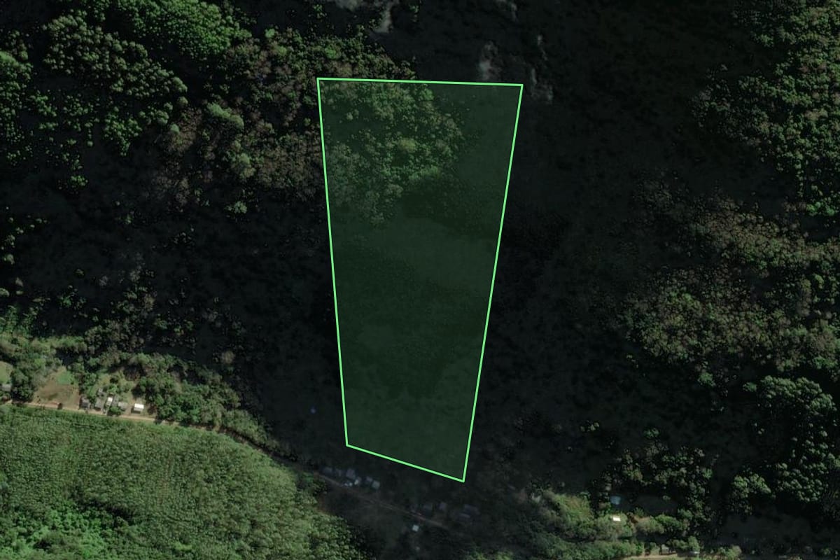 Imagem de satélite do imóvel rural em Riozinho (RS), com o contorno declarado no CAR desenhado por cima.